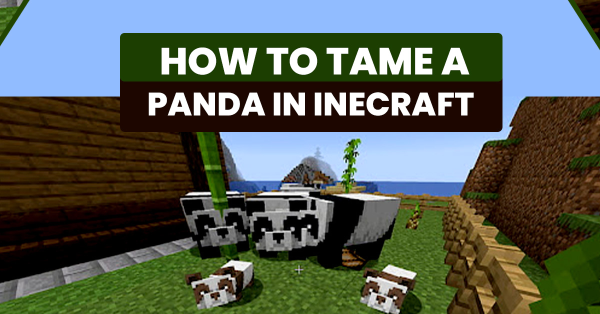 How to Tame a Panda in Minecraft