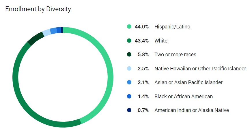 enrollment By Diversity