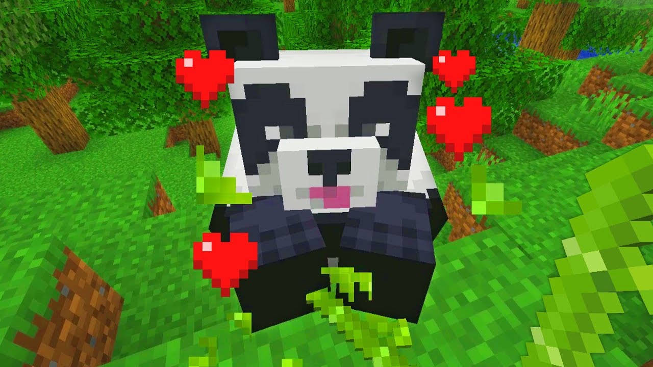Tamed Panda