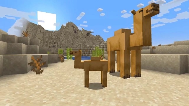 Camels in Minecraft