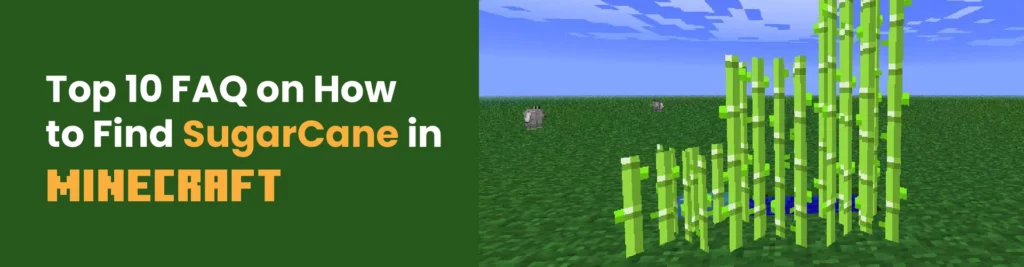 Top 10 FAQs On Sugarcane In Minecraft