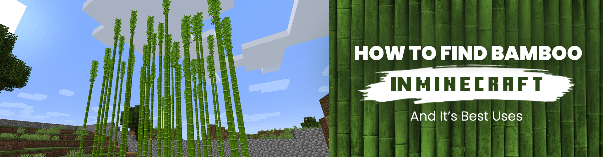 How to find bamboo In minecraft and It’s best uses
