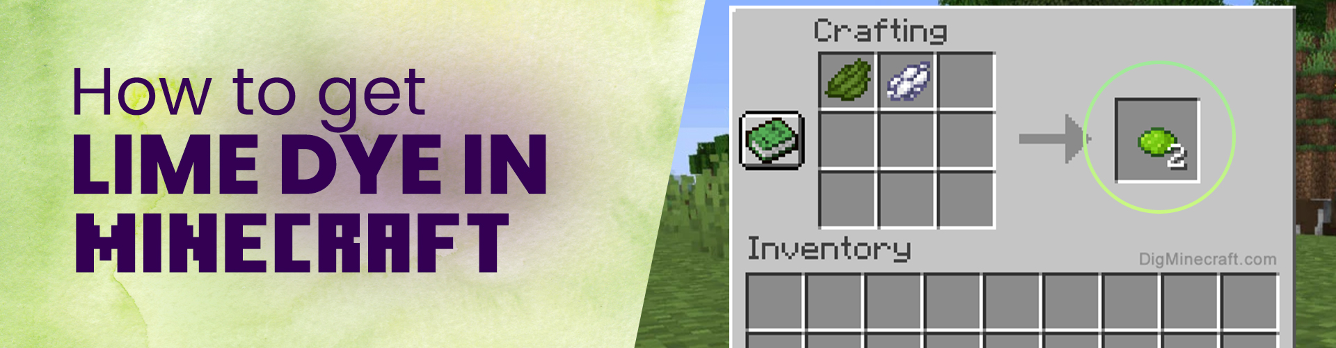 how to make lime dye in minecraft