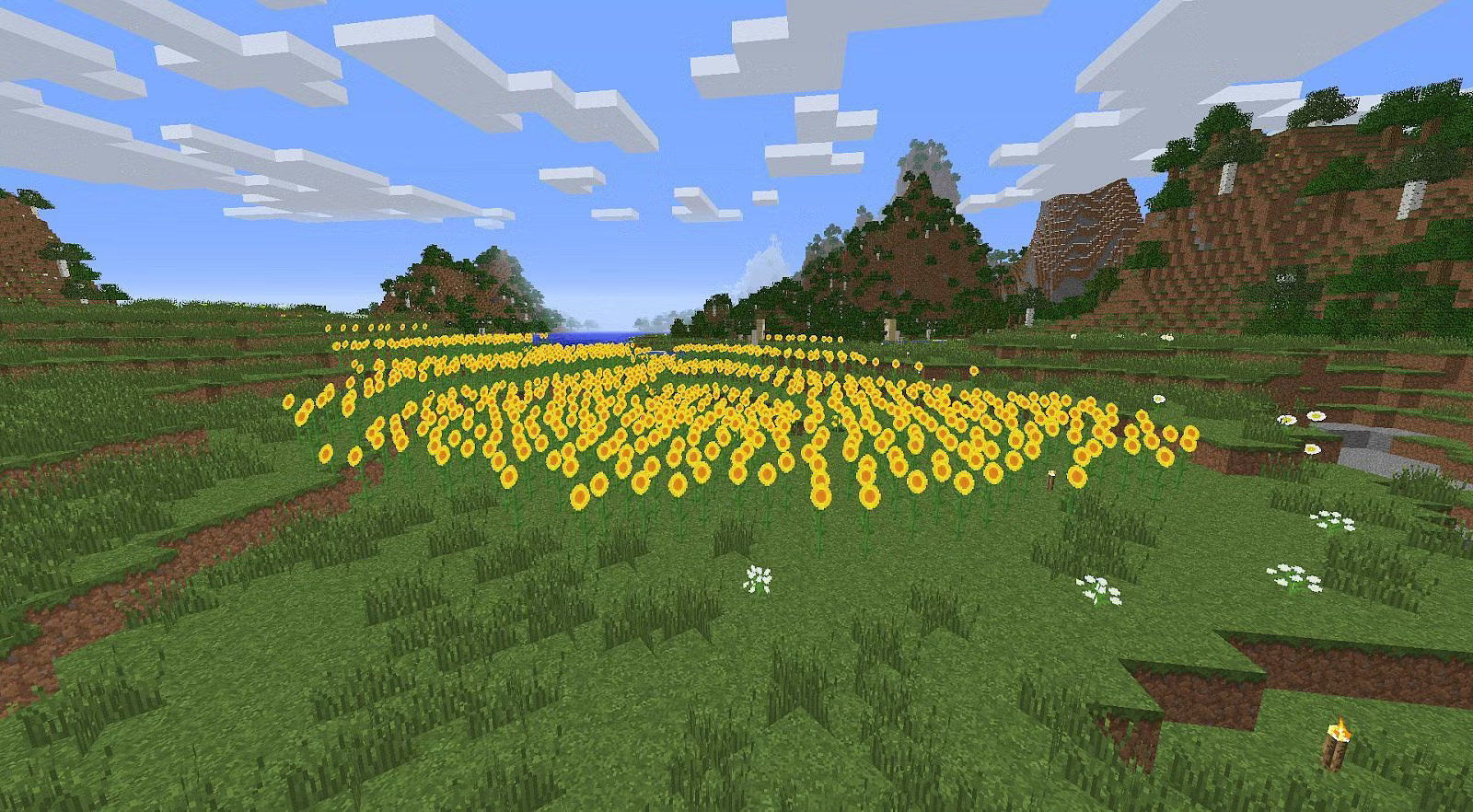 Framing For Sunflowers In Minecraft