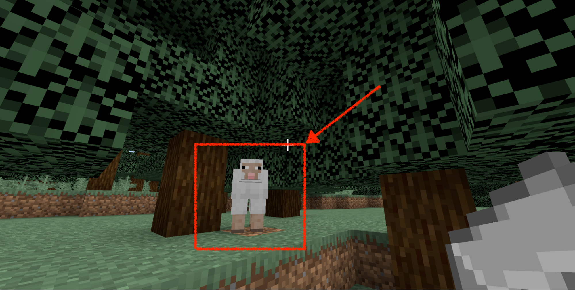 Finding Sheep In Minecraft