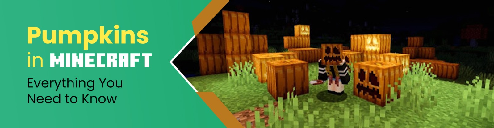 Pumpkins in Minecraft - Everything You Need to Know