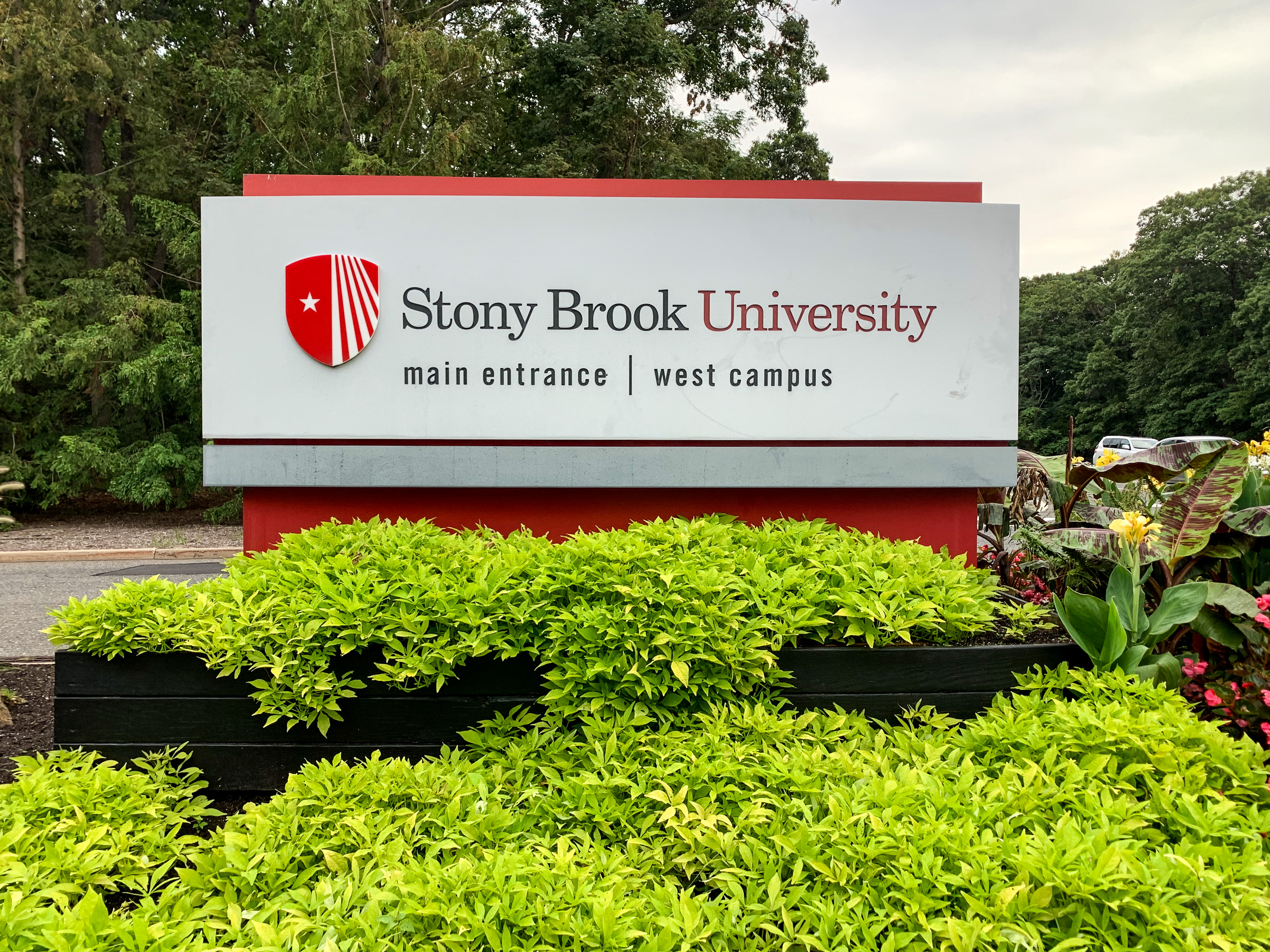 Stony Brook University, SUNY