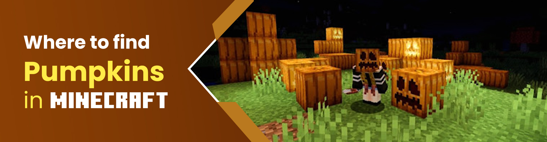 Where To Find Pumpkins In Minecraft