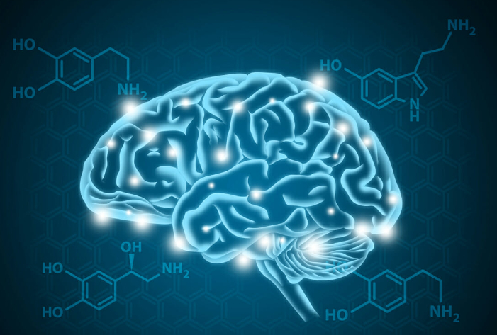 Exploring The Role Of Dopamine