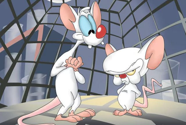 Best 20 Pinky and the Brain Quotes To Make You Laugh