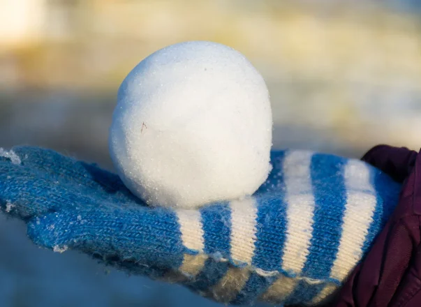 Snowball Science