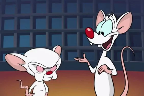 Best 20 Pinky and the Brain Quotes To Make You Laugh