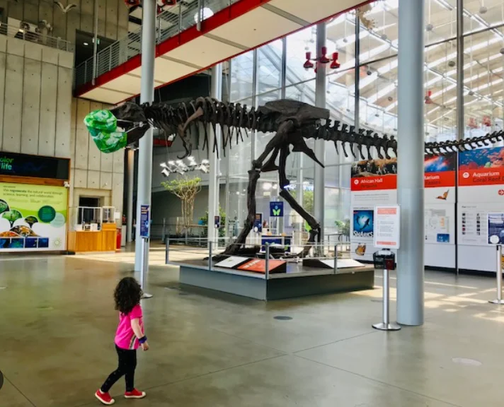 6 Best Children's Science Museums In California, USA