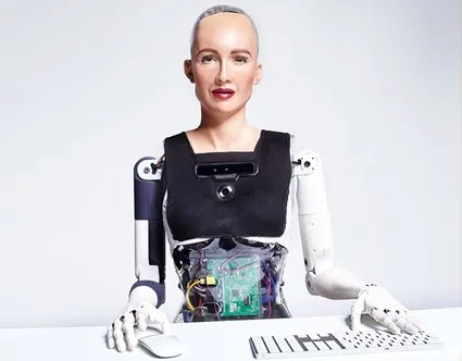 Humanoids Robots
