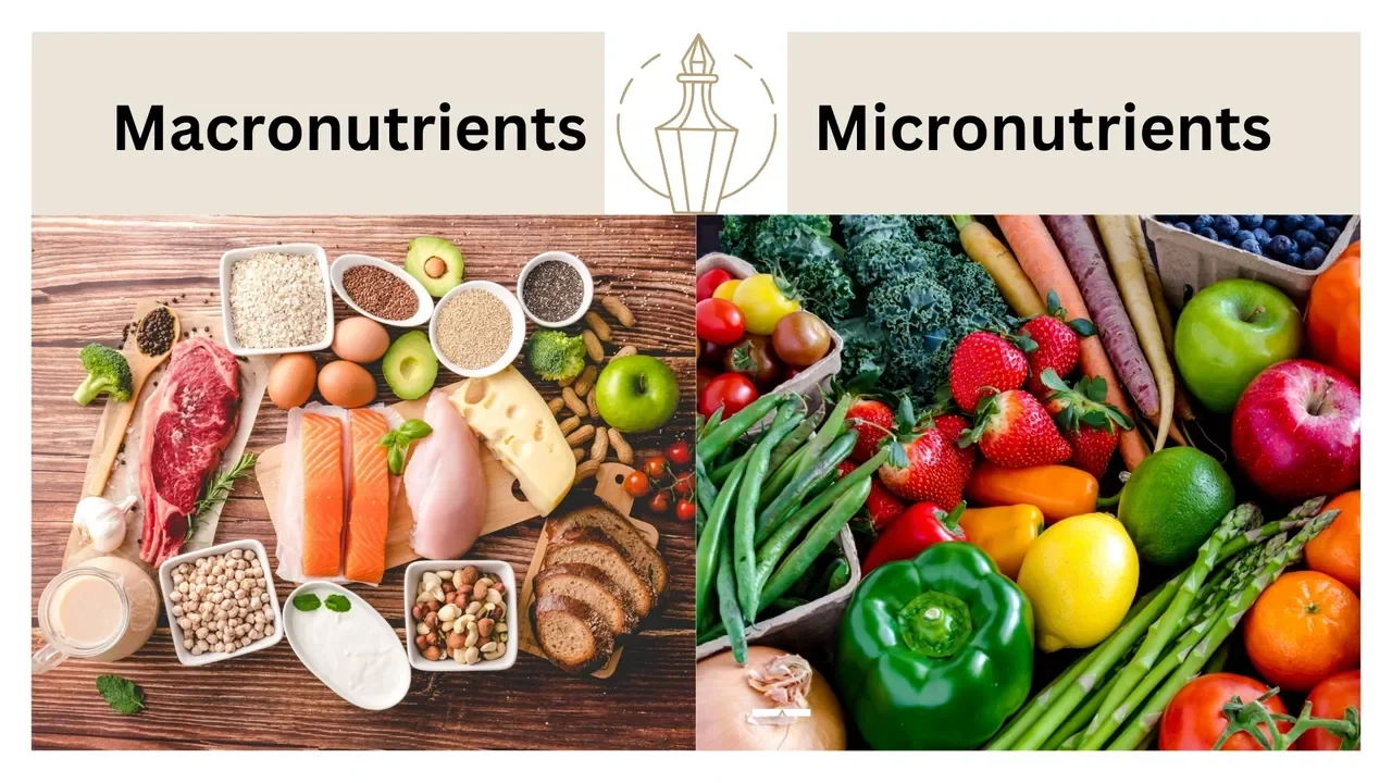 Macro and Micro Nutrients