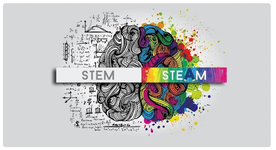 STEM VS STEAM