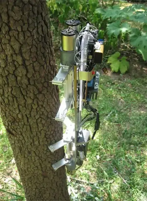 Tree-Climbing Robot