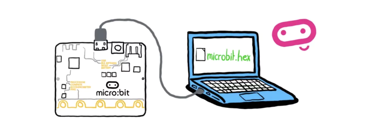 What can you do with microbit