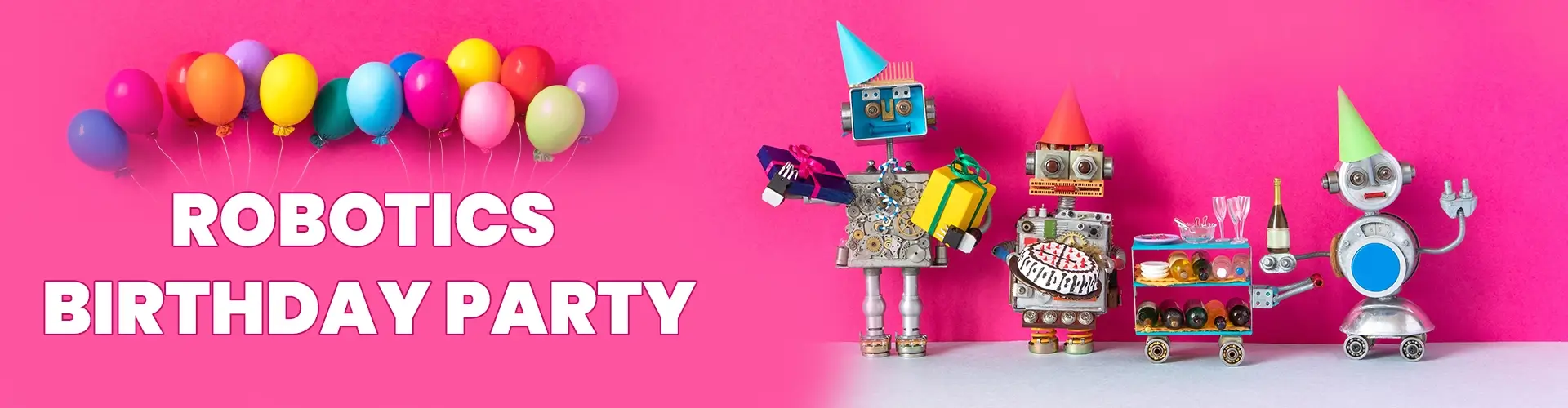 Robotics Birthday Party