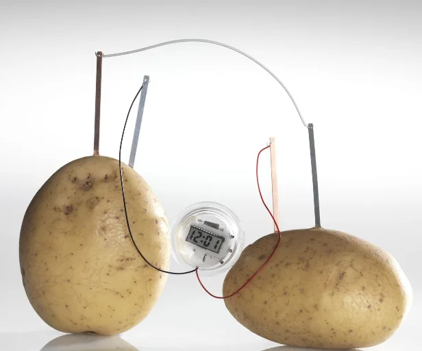 DIY Potato Battery