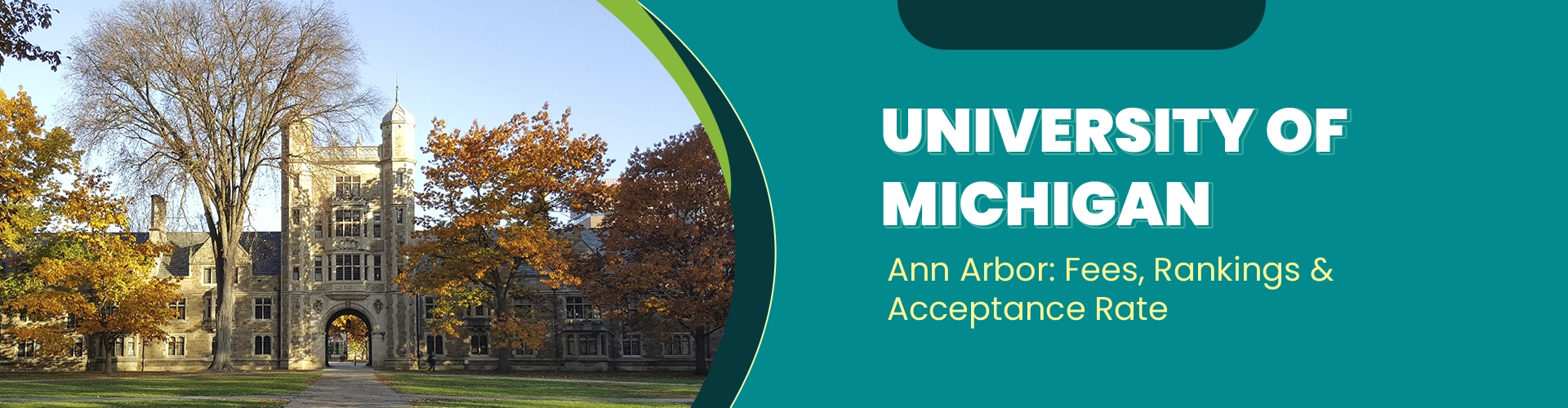 University of Michigan- Ann Arbor: Majors, Acceptance Rate & Rankings
