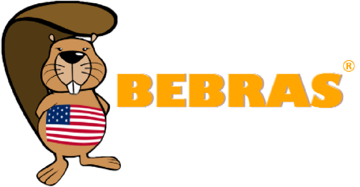 Bebras Computing Challenge